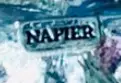 Napier jewelry mark